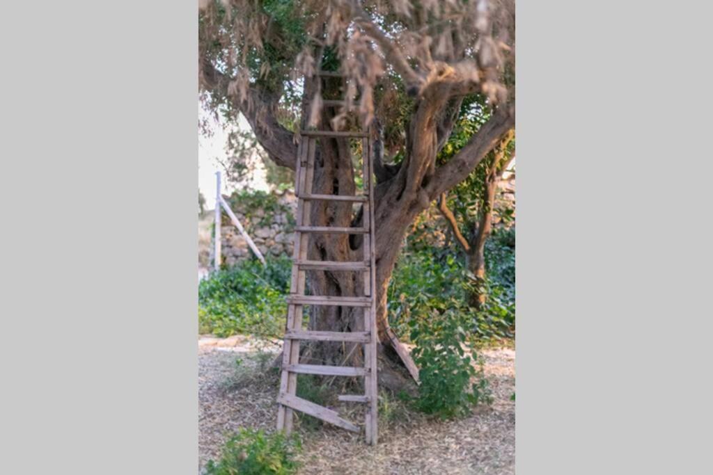 Villa Ferrante Marina di Ragusa Esterno foto